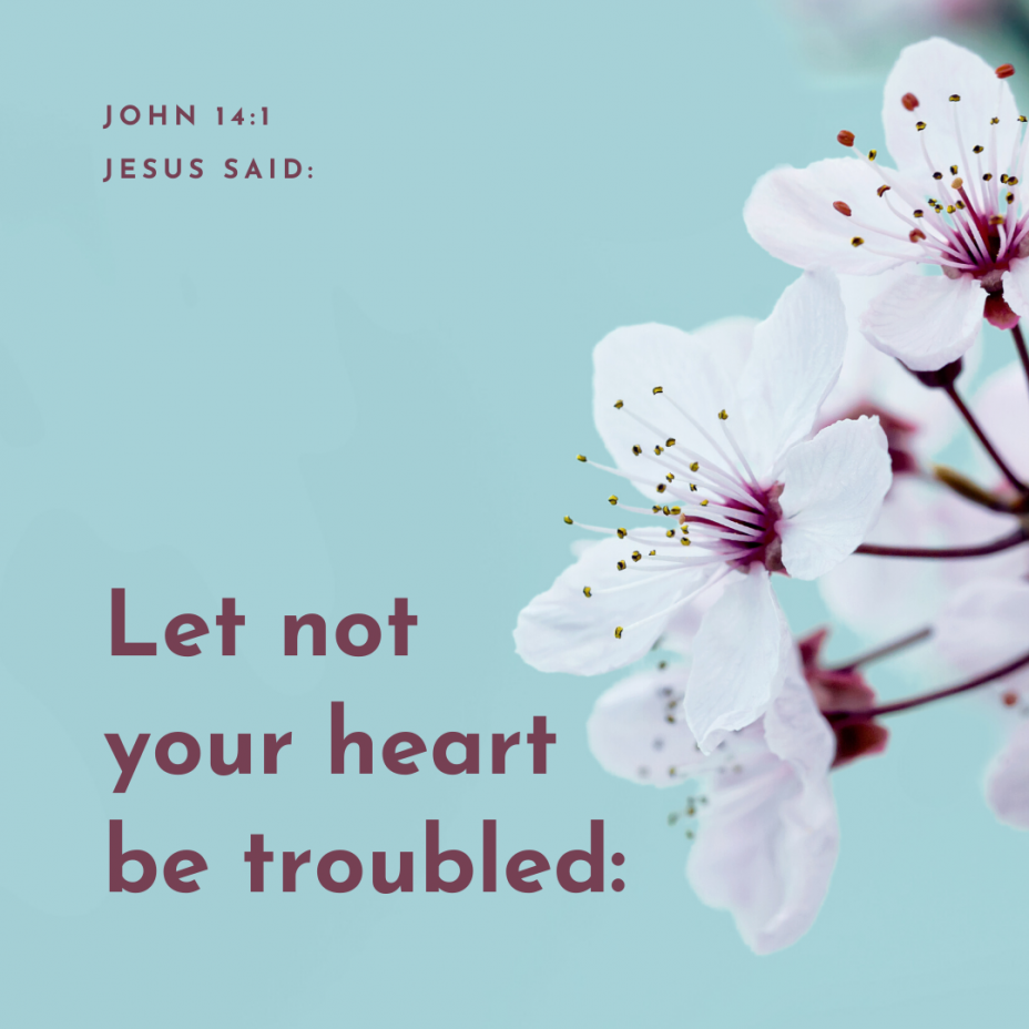 John 14-1
