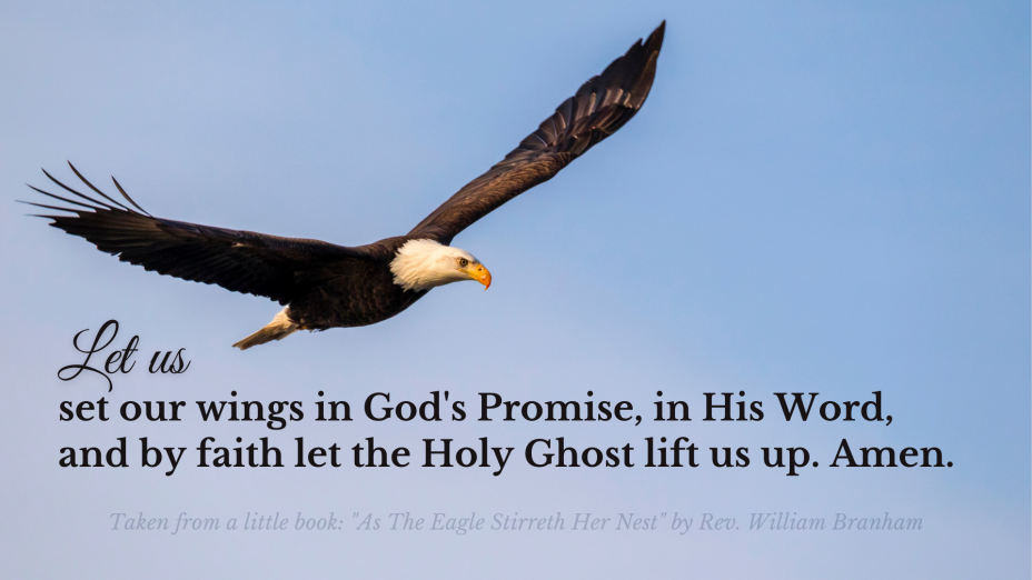 In The Promise