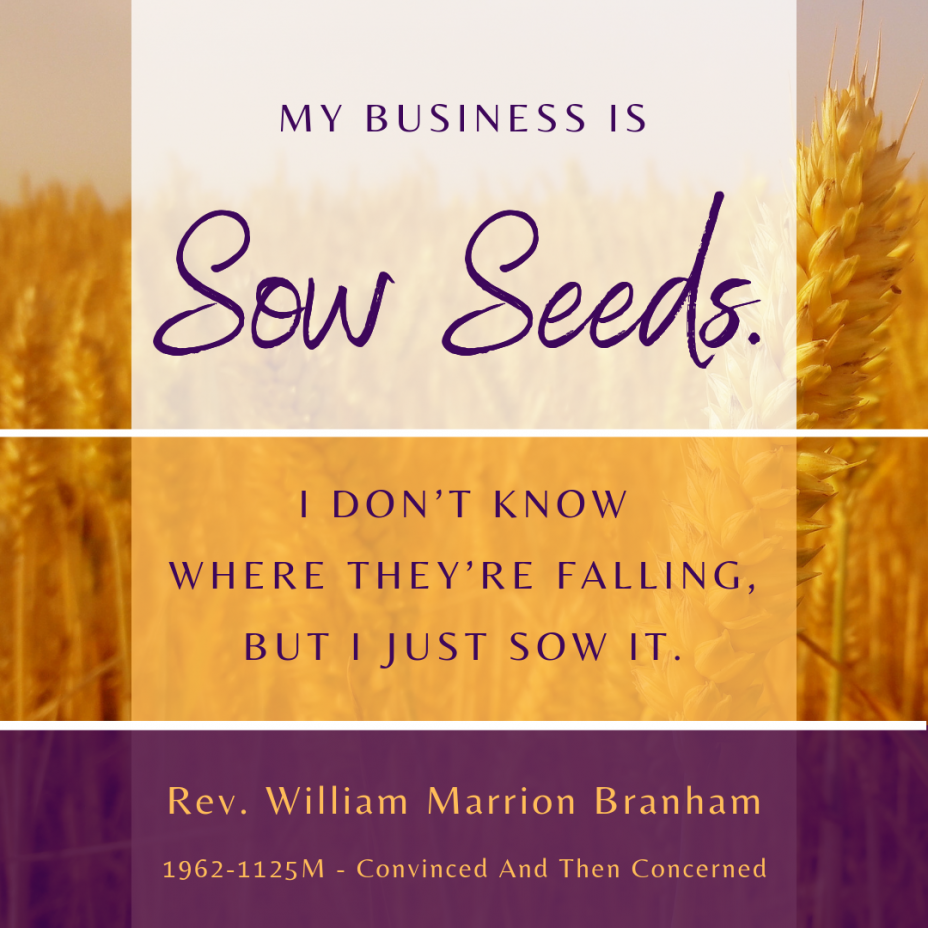 Sow Seeds
