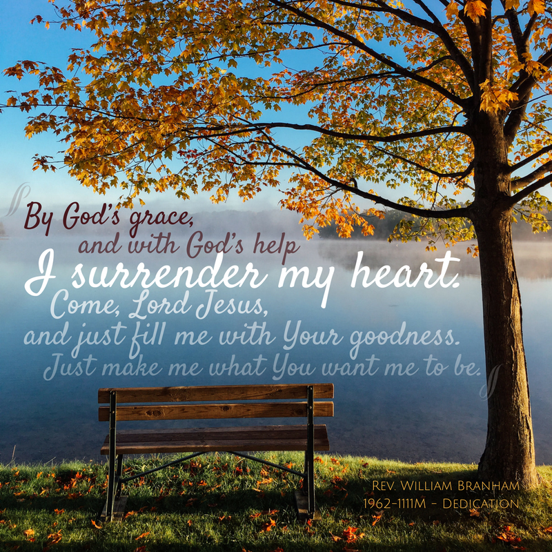 I Surrender My Heart