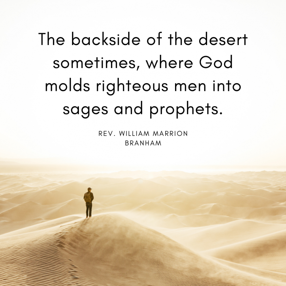 Backside of the dessert